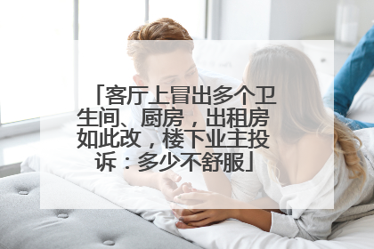 客厅上冒出多个卫生间、厨房，出租房如此改，楼下业主投诉：多少不舒服